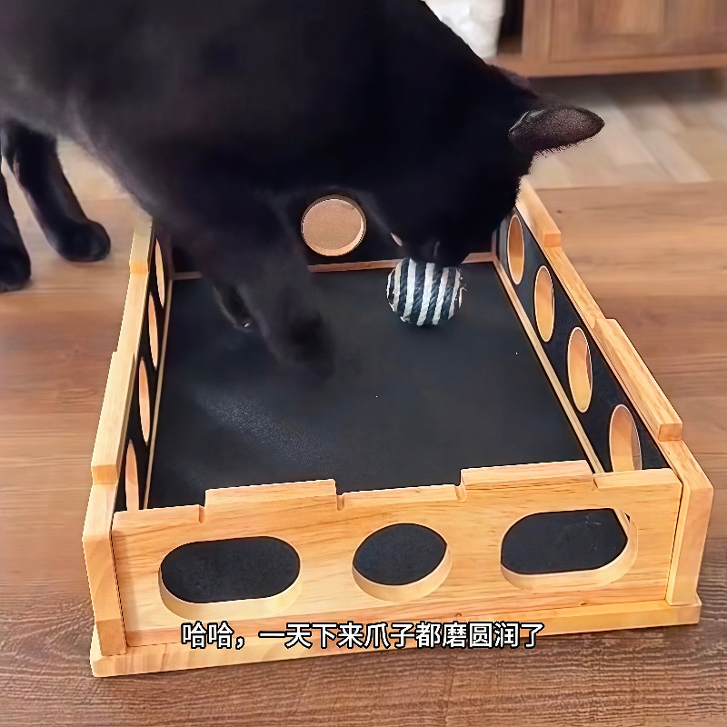 Royi Store Claw Labyrinth Cat  - огляд і ціна Board Game Store