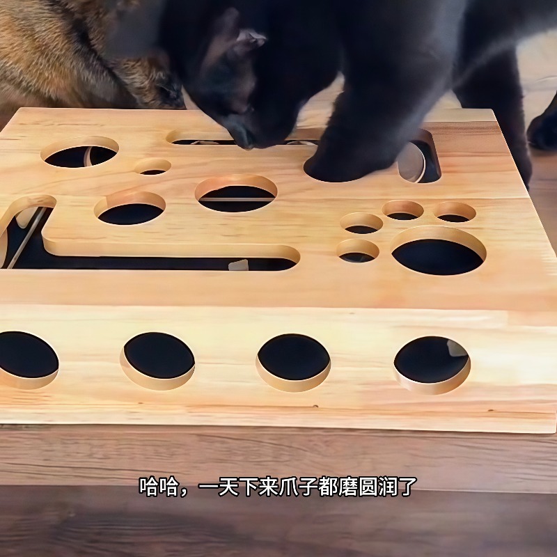 Royi Store Claw Labyrinth Cat  - огляд і ціна Board Game Store